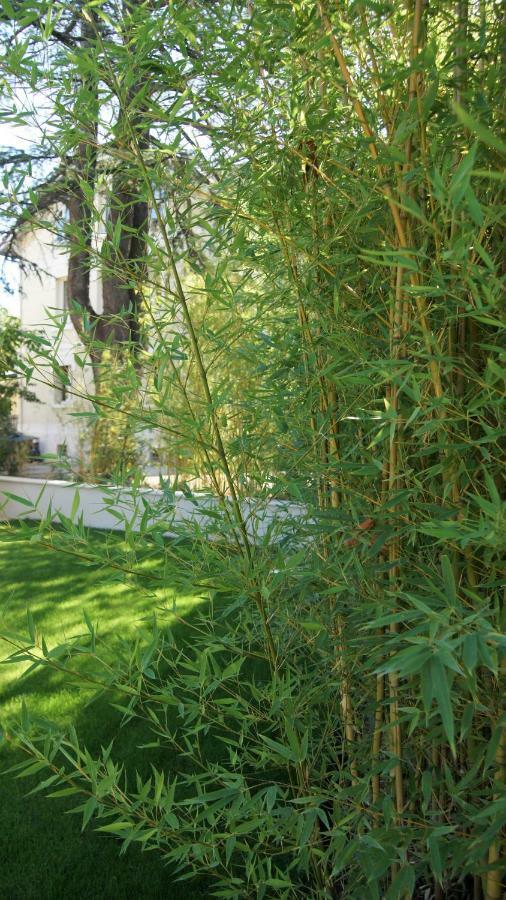 Hotel De Charme L'Oree Du Parc โรม็อง-ซูร์-อีแซร์ ภายนอก รูปภาพ